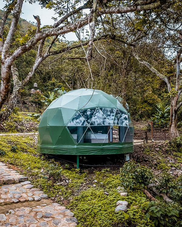 Exclusive Campsite Super Jungle Domes